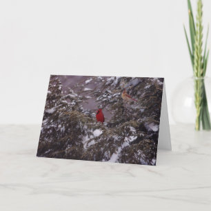 Cartes Pour Fêtes Annuelles M. et Mme Cardinal
