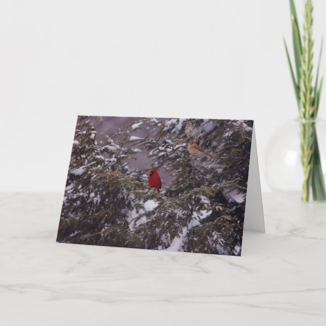 Cartes Pour Fêtes Annuelles M. et Mme Cardinal (Devant)