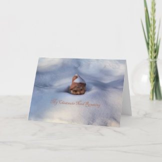 Cartes Pour Fêtes Annuelles Ma torréfaction du besoin de châtaignes