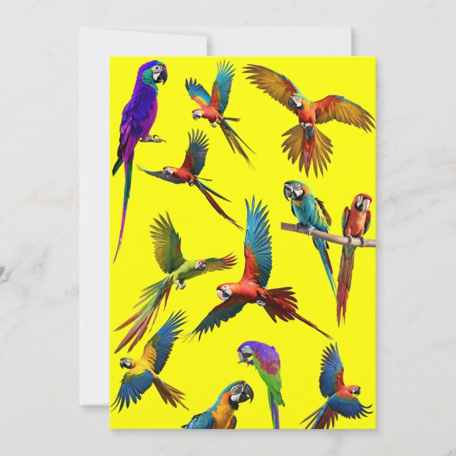 Cartes Pour Fêtes Annuelles Macaws et autres macaws (Devant)