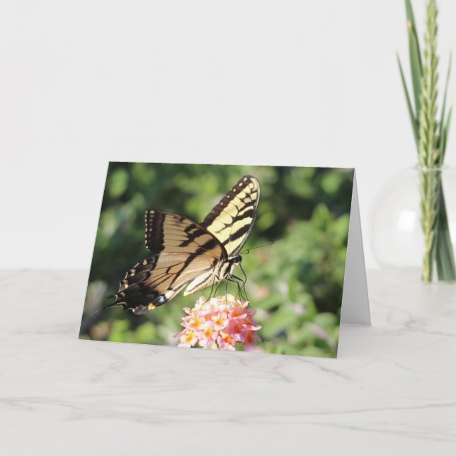 Cartes Pour Fêtes Annuelles Machaon oriental de tigre (Devant)