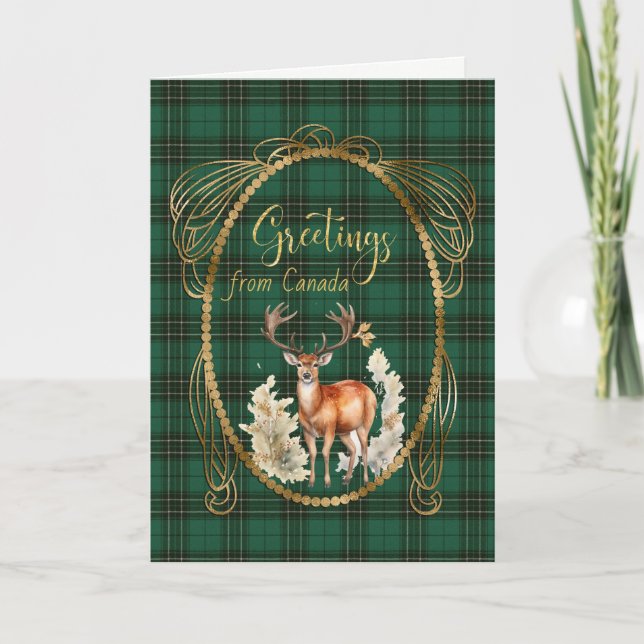 Cartes Pour Fêtes Annuelles MacLean Chasse Tartan écossais Salutations (Devant)