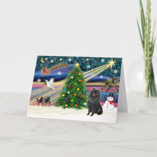 Cartes Pour Fêtes Annuelles Magic-Schipperke de Noël