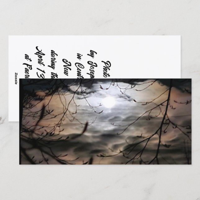 Cartes Pour Fêtes Annuelles Magickal Moonscape (vide à l'intérieur) (Devant / Derrière)