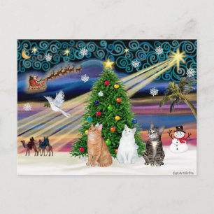 Cartes Pour Fêtes Annuelles Magie de Noël - 3 chats (2 tabby - blanc)