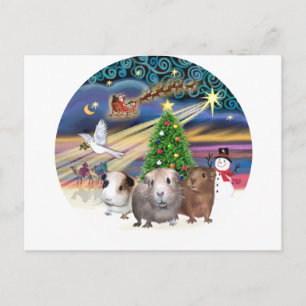 Cartes Pour Fêtes Annuelles Magie de Noël - 3 Cochons d'Inde