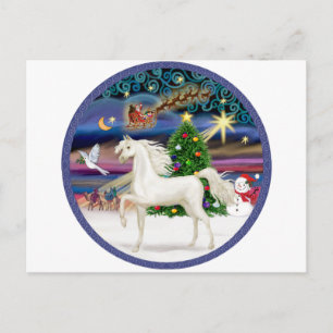 Cartes Pour Fêtes Annuelles Magie de Noël - Cheval arabe blanc