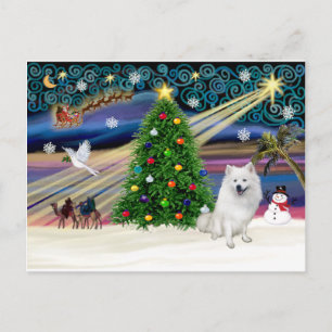 Cartes Pour Fêtes Annuelles Magie de Noël - Chien Esquimau Américain