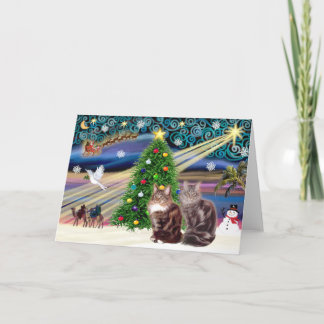 Cartes Pour Fêtes Annuelles Magie de Noël - Deux chats de Maine Coon