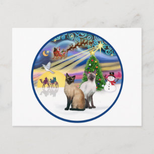 Cartes Pour Fêtes Annuelles Magie de Noël (R) - Deux chats siamois