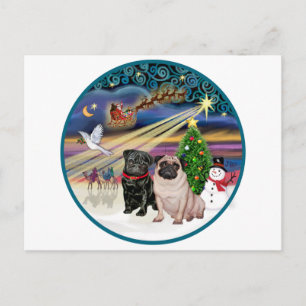 Cartes Pour Fêtes Annuelles Magie de Noël (R) - Deux Pug (F + B)