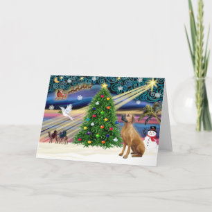 Cartes Pour Fêtes Annuelles Magie de Noël Rhodesian Ridgeback 1