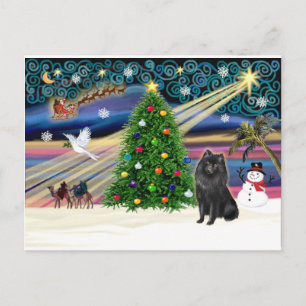 Cartes Pour Fêtes Annuelles Magie de Noël-Schipperke