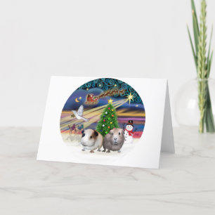 Cartes Pour Fêtes Annuelles Magie de Noël -T avec les cochons de Guinée