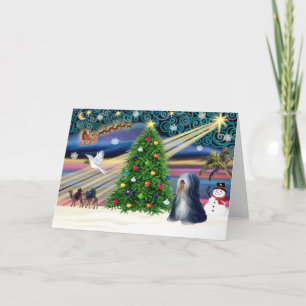 Cartes Pour Fêtes Annuelles Magie de Noël Terrier tibétain (noir-blanc)