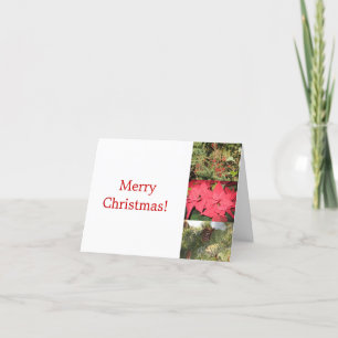 Cartes Pour Fêtes Annuelles Magie hivernale