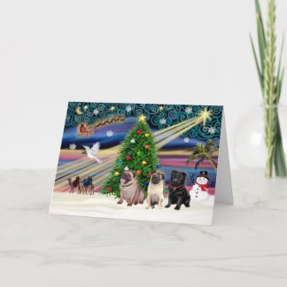 Cartes Pour Fêtes Annuelles Magique Xmas-3Carlins-2fawn-1blk