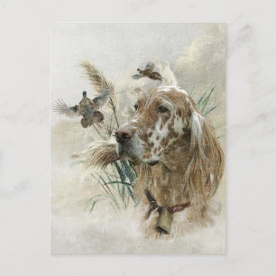 Cartes Pour Fêtes Annuelles Magnifique Setter avec Faisans , Art