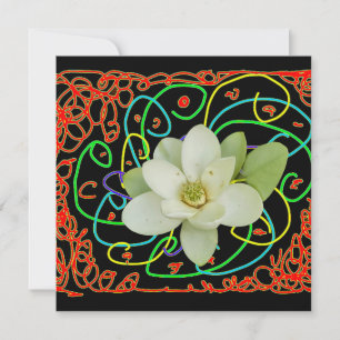 Cartes Pour Fêtes Annuelles Magnolia de Virginie (Magnolia virginiana)