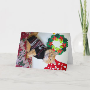 Cartes Pour Fêtes Annuelles Maine Guy I