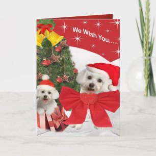 Cartes Pour Fêtes Annuelles Maltais et Chiot vous souhaite Joyeux Noël