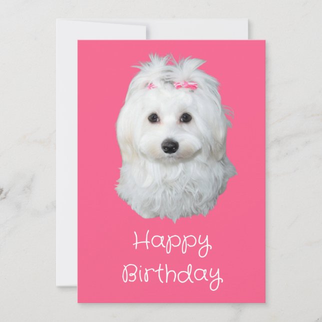 Cartes Pour Fêtes Annuelles Maltese Li White Puppy Photo (Devant)