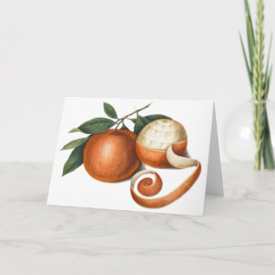 Cartes Pour Fêtes Annuelles Mandarin Oranges : Peinture antique de Chine