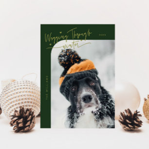 Cartes Pour Fêtes Annuelles Marche à travers l'hiver photo Chien vert Noël