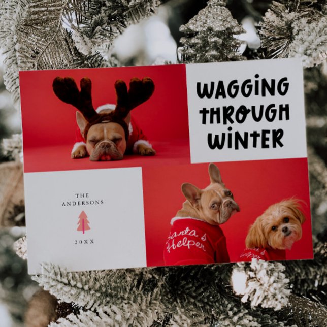 Cartes Pour Fêtes Annuelles Marche à travers l'hiver White Pet Photo (Créateur téléchargé)