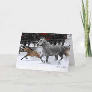 Cartes Pour Fêtes Annuelles Mare et poulain courant dans la neige