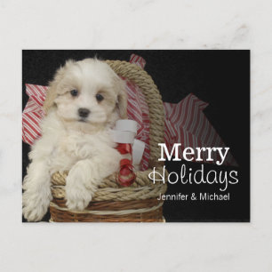 Cartes Pour Fêtes Annuelles Marionnette de Noël en panier