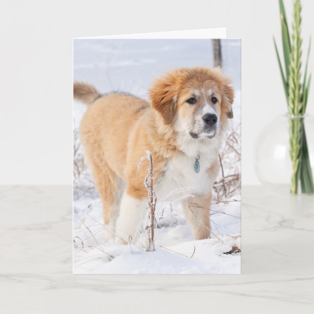 Cartes Pour Fêtes Annuelles Marionnette des Pyrénées dans la neige (Devant)
