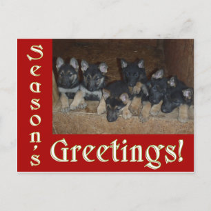 Cartes Pour Fêtes Annuelles Marionnettes bergers allemandes Salutations de sai