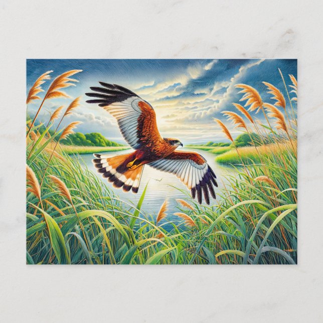Cartes Pour Fêtes Annuelles Marsh Harrier sur le lac Reedlits (Devant)