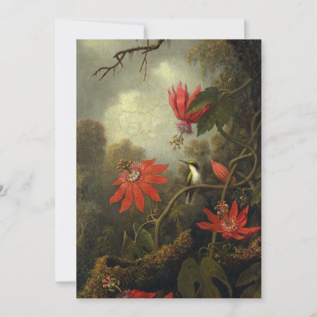 Cartes Pour Fêtes Annuelles Martin Johnson Heade - Colibri (Devant)