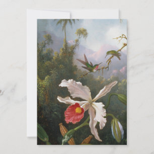 Cartes Pour Fêtes Annuelles Martin Johnson Heade - Deux colibris