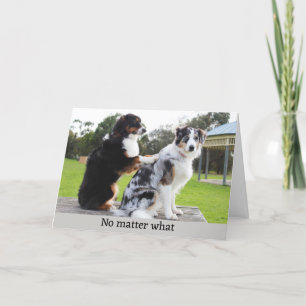 Cartes Pour Fêtes Annuelles Massage drôle de chien photo