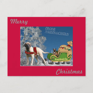 Cartes Pour Fêtes Annuelles Mastiff anglais et bouledogue français traîneau