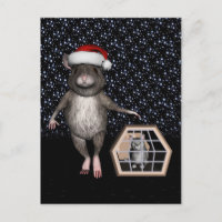 Mau d'argent pour le chat du Père Noël