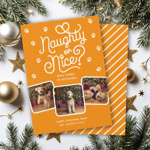 Cartes Pour Fêtes Annuelles Méchants ou Gentils Drôle Mignon Chien Chat Animal