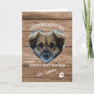 Cartes Pour Fêtes Annuelles Meilleur chien maman photo Journée Mondiale des mè
