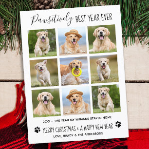 Cartes Pour Fêtes Annuelles Meilleure année de façon prospective Chien et anim