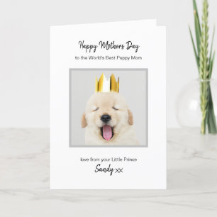 Cartes Pour Fêtes Annuelles Meilleure maman chienne du monde Fête des mères pe