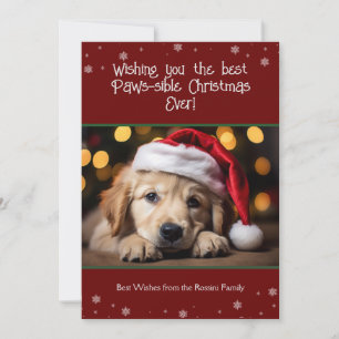 Cartes Pour Fêtes Annuelles Meilleures photos de chien de Noël à pattes