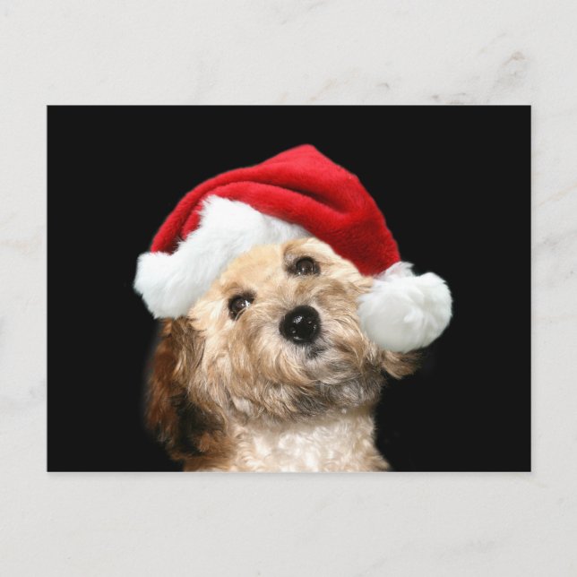 Cartes Pour Fêtes Annuelles Mélange de canicules Noël (Devant)