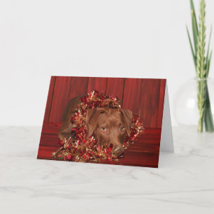 Cartes Pour Fêtes Annuelles Mélange de laboratoire de chocolat Noël