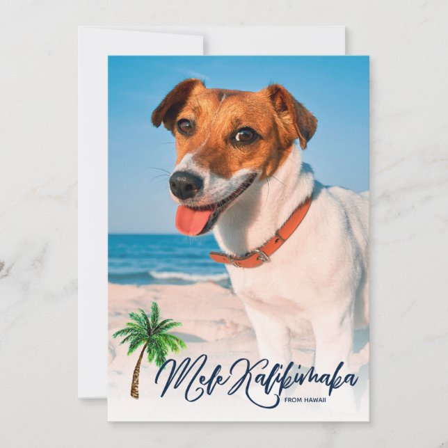 Cartes Pour Fêtes Annuelles Mele Kalikimaka Christmas Tropical 2-Photo (Devant)