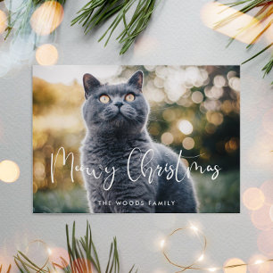 Cartes Pour Fêtes Annuelles Meowny Christmas Élégante Calligraphie Cat Photo