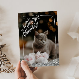 Cartes Pour Fêtes Annuelles Meowny Christmas Full Photo Chat Animal