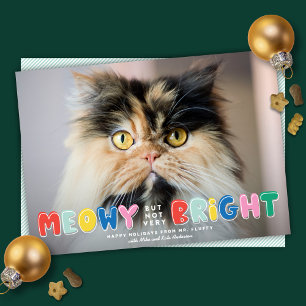 Cartes Pour Fêtes Annuelles Meowny mais pas très brillant jolie photo de chat
